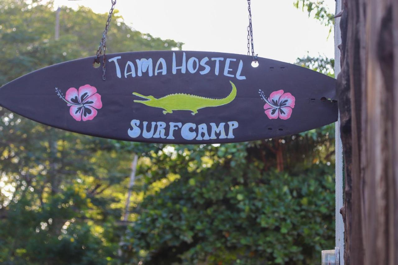 TamaHostel&Glamping Tamarindo Exterior foto